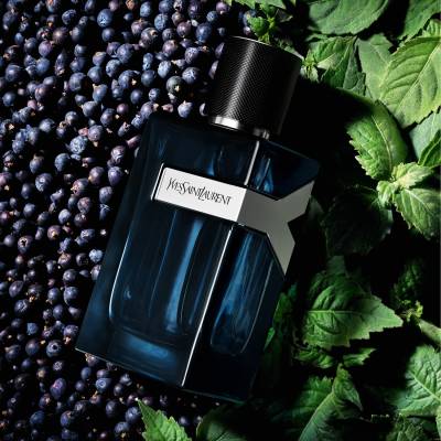 Y eau de parfum 100ml discount