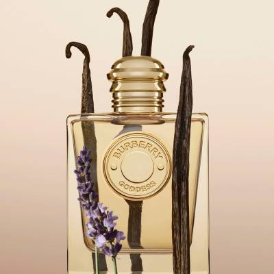 Burberry body refill clearance