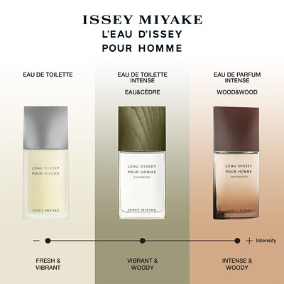 Issey Miyake L Eau d Issey Pour Homme Eau de Toilette 75ml FEELUNIQUE
