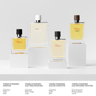 Hermes Terre d Hermes Eau Intense Vetiver Eau de Parfum Natural Spray 100ml FEELUNIQUE